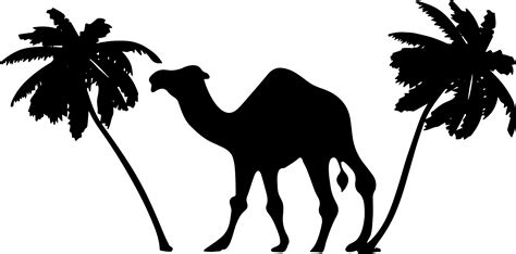 Planting Clipart Desert Animal Camel Silhouette Png Transparent Png