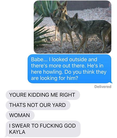 Wife Trolls Her Husband About Bringing Home A Coyote