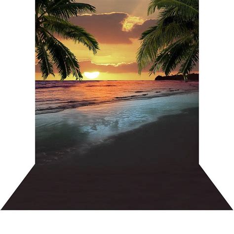 Photo Backdrop Tropical 1 High Quality By Albabackgrounds Beach