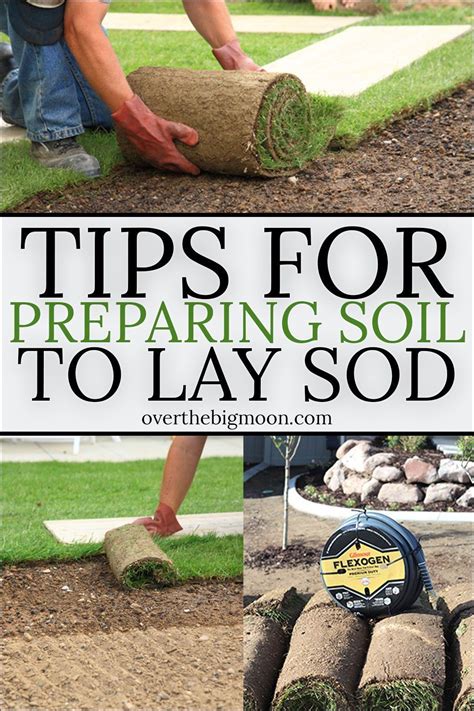 Soil loss during sod production. Tips for Soil Preparation Before Laying Sod in 2020 ...