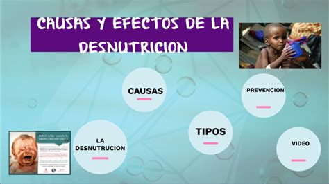 Causas Y Efectos De La Desnutrición Crónica Infantil By Fabiola Pineda