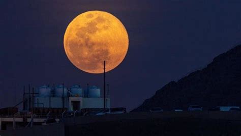 The Giant Moon Decorates The Skies Of Saudi Arabia World Today News