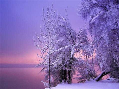 Purple Sunrise W Pink Mist With Images Winter Landscape Photography