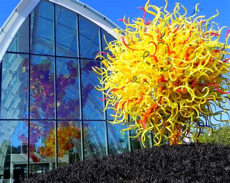 Maybe you would like to learn more about one of these? Chihuly Garden & Glass | Mickey JT | Flickr