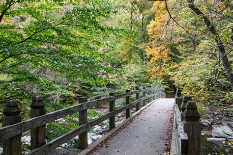 Rock Creek Park A Washington Dc Staple Running Path Trail Running