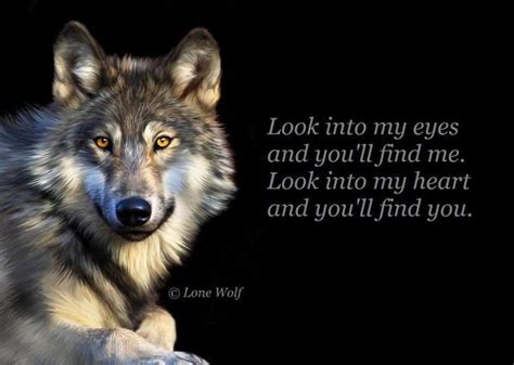 The Lone Wolf Lone Wolf Quotes Wolf Quotes Lone Wolf