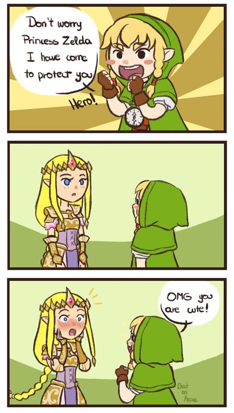 Princess Zelda And Linkle Hyrule Warriors Zelda Musou Artwork By