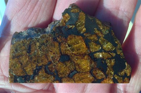 Meteorites are believed to originate in the asteroid belt between the planets of mars and jupiter. Pallasite Meteorite - ArrowHeads.com