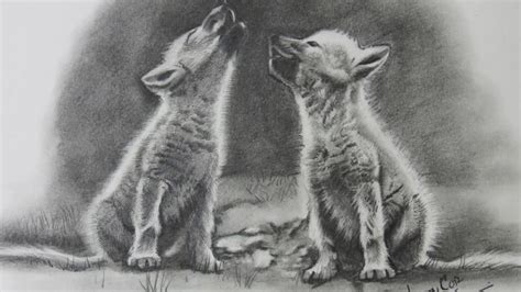 Wolf drawing 4 by animefan1863 on deviantart. Drawing Cute Baby Wolves - YouTube