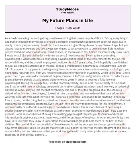 My Future Plans In Life Free Essay Example