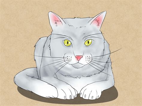 4 Ways To Draw A Cat Wikihow