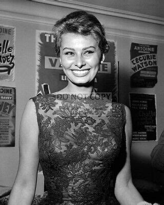Sophia Loren Legendary Actress And Sex Symbol X Publicity Photo The