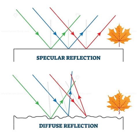 Specular And Diffuse Reflection Vector Illustration Diagram Vectormine