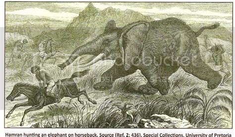 Hunting Elephant With A Sword Africahunting