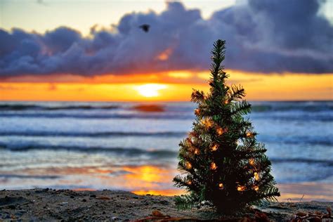 Christmas Tree On The Beach At Sunset In Encinitas Beach Christmas