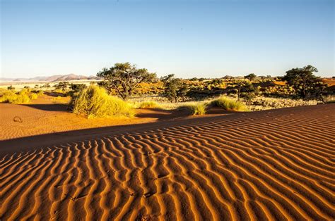 10 Great Photographs Of The Namib Desert Discover Africa Safaris