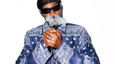 We've gathered more than 5 million images uploaded by our users and sorted them by the most popular ones. Snoop Dogg - 10 Lil Crips HD (Dirty) - YouTube
