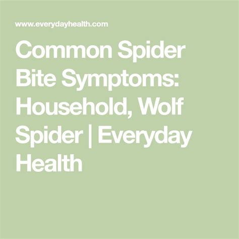 Common Spider Bite Symptoms Household Wolf Spider Everyday Health