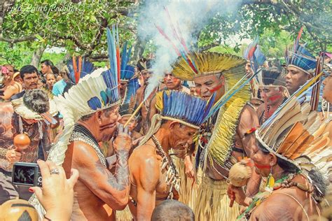 Contribuições Dos Indígenas Para A Cultura Brasileira