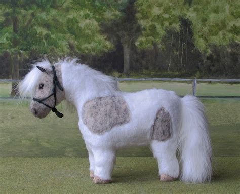 Milly A Pretty Grey And White Shetland Pony With Knotted Rope Halter