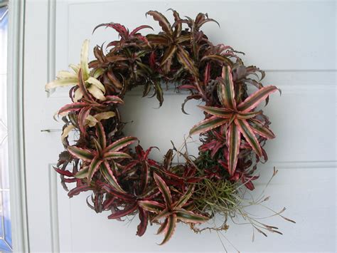 Bromelaid Living Wreath · How To Make A Floral Wreath