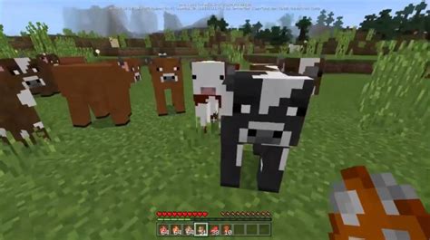 Browse and download minecraft java mods by the planet minecraft community. Domestic Mobs Addon | Minecraft PE Addons, Minecraft PE Mods