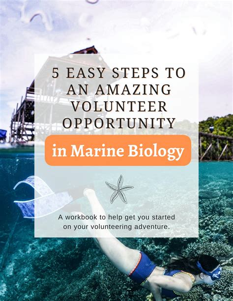 Marine Biology Guide To Volunteering Your First Step Into The Career