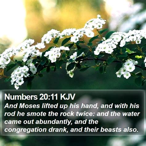 Numbers 2011 Kjv And Moses Lifted Up His Hand And With His Rod He