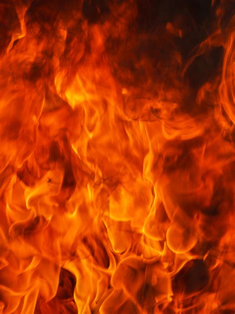 图片素材 火焰 烧伤 篝火 暖 火热 背景 地狱 危险 特写 橙子 营火 炽烈 质地 易燃 能源 点燃