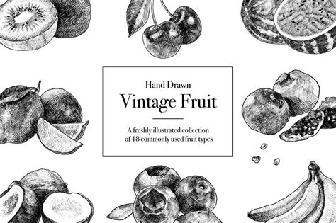 Hand Drawn Vintage Fruit Graphics Youworkforthem