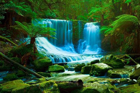 Daintree Rainforest Wallpapers Rainforest Pictures Waterfall