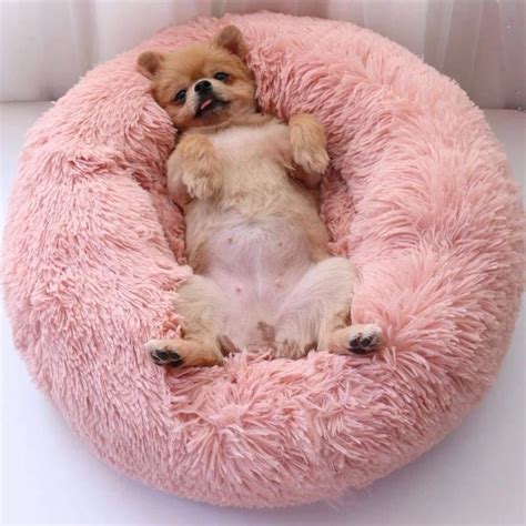Comfy Faux Fur Pet Bed Dog Pet Beds Faux Fur Pet Bed Cute Dogs