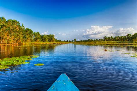 Geography suriname is located on the northeast coast of south america, bordering french guiana to the east, guyana to the west and brazil to the south. Travel to Suriname - Discover Suriname with Easyvoyage