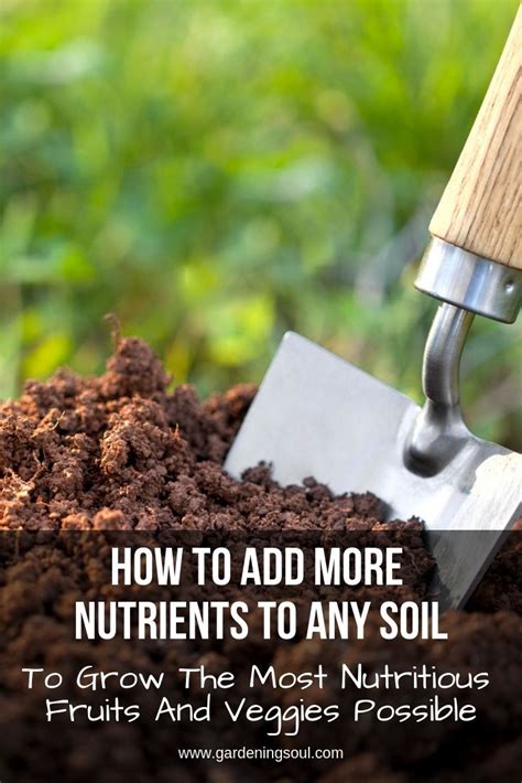 How To Add More Nutrients To Any Soil To Grow The Most Nutritious