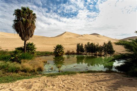 Peruvian Desert Oasis The Beautiful Desert Oasis Of Huacac Flickr