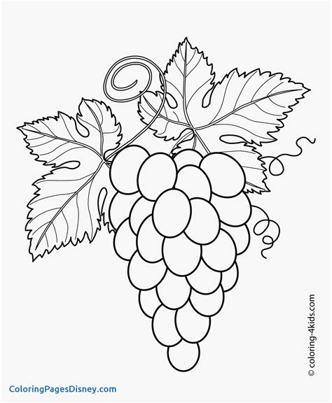 These colours, such as rich lilac and deep lilac, are shown in the colour chart below. Lilac Coloring Pages at GetColorings.com | Free printable ...