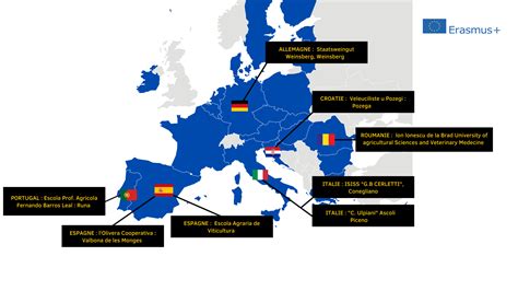 Avize Viti Campus  International