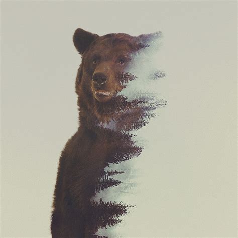 Landscapes Meet Animals In Double Exposure Style Images