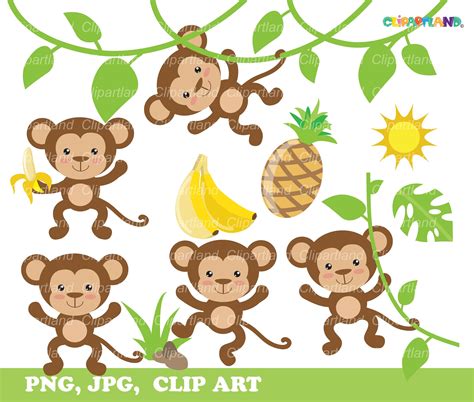 Monkey On Vine Clipart