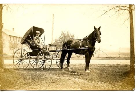 Horse Drawn Carriage Buggy 1900 Ch