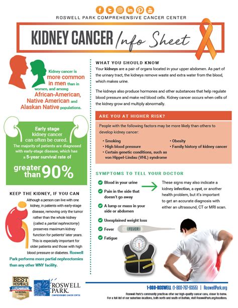 The cancer can stop the kidneys from working normally. What is Kidney Cancer? | Roswell Park Comprehensive Cancer ...