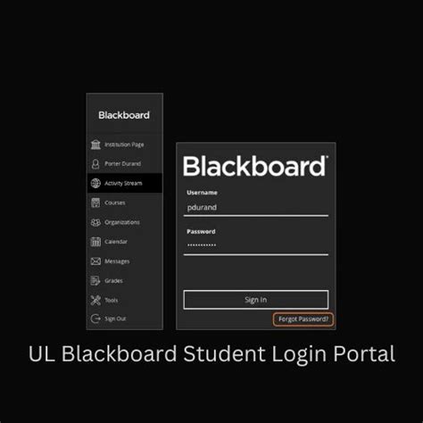 Ul Blackboard Student Login Portal Detailed Access