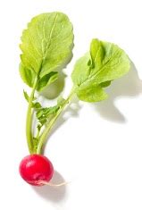 Maybe you would like to learn more about one of these? Are Radish Leaves Edible? | Eat This!