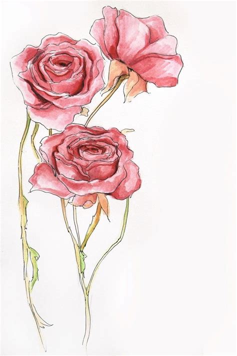1001 Modèles Et Conseils Pour Apprendre Comment Dessiner Une Rose Flower Drawing Floral Art