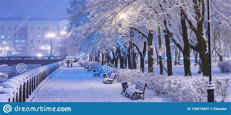 Amazing Winter Night Landscape Of Snow Covered Bench Among Snowy Trees