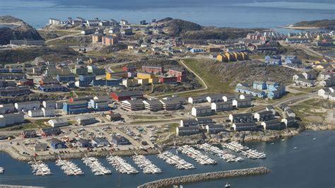 Nuuk Greenland Wildlife Archives Wildlife Archives