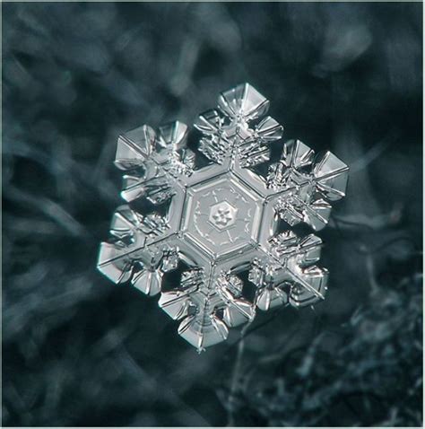 Unique And Beautiful Snowflakes 49 Pics Snowflakes