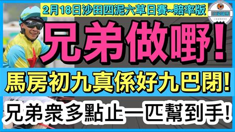 【小梁論馬】2月18日沙田四泥六草日賽~賠率版 兄弟做嘢 馬房初九真係好九巴閉 兄弟衆多點止一匹幫到手 賽馬kol 小梁