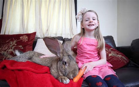 Darius The Rabbit From Worcester Is The Worlds Biggest Easter Bunny