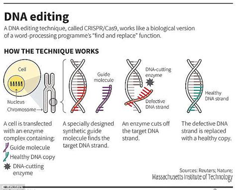 Darpa Reveal Project To Develop Gene Editing System Daily Mail Online